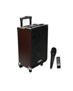 beFree Sound 10 Inch 500 Watt Bluetooth Portable Speaker with USB, SD , Microphone, FM Radio